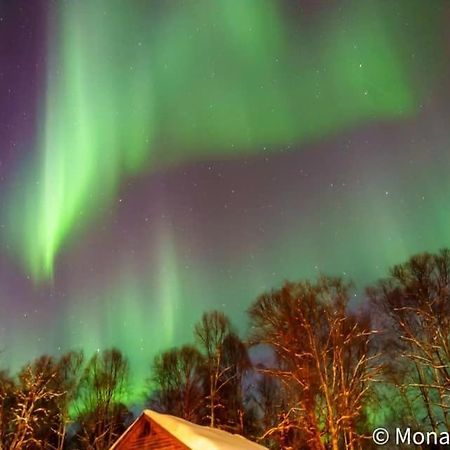 Susitna River Lodging, Suites Talkeetna Εξωτερικό φωτογραφία