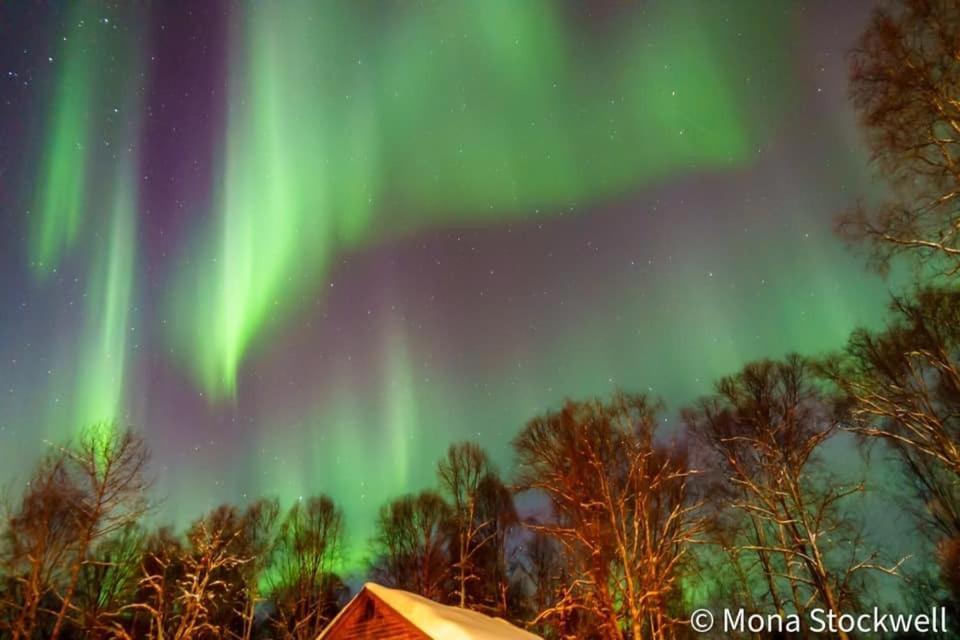 Susitna River Lodging, Suites Talkeetna Εξωτερικό φωτογραφία