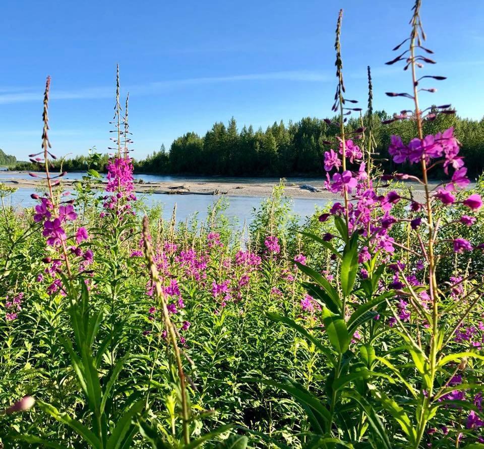 Susitna River Lodging, Suites Talkeetna Εξωτερικό φωτογραφία