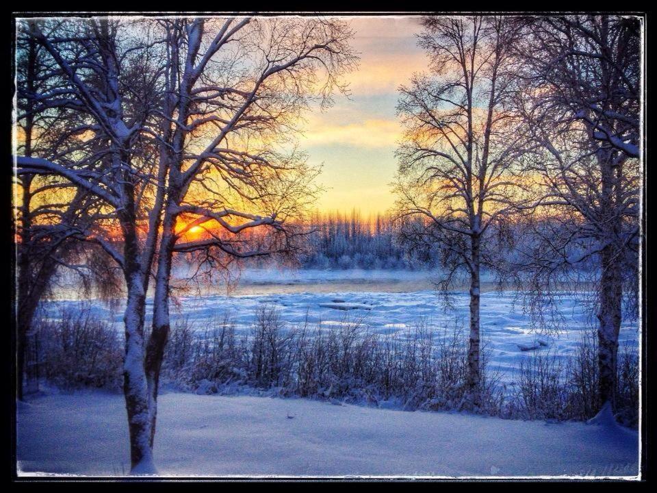Susitna River Lodging, Suites Talkeetna Εξωτερικό φωτογραφία